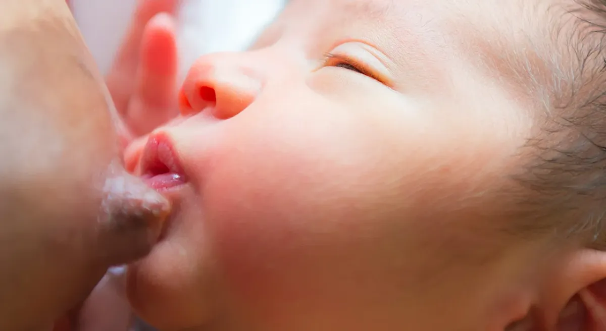 Grietas del pezón mastitis y problemas de lactancia materna